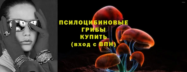 марки lsd Ельня