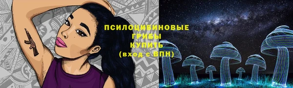 дмт Елабуга