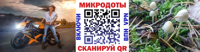 Галлюциногенные грибы Magic Shrooms  Купить где  Балей 